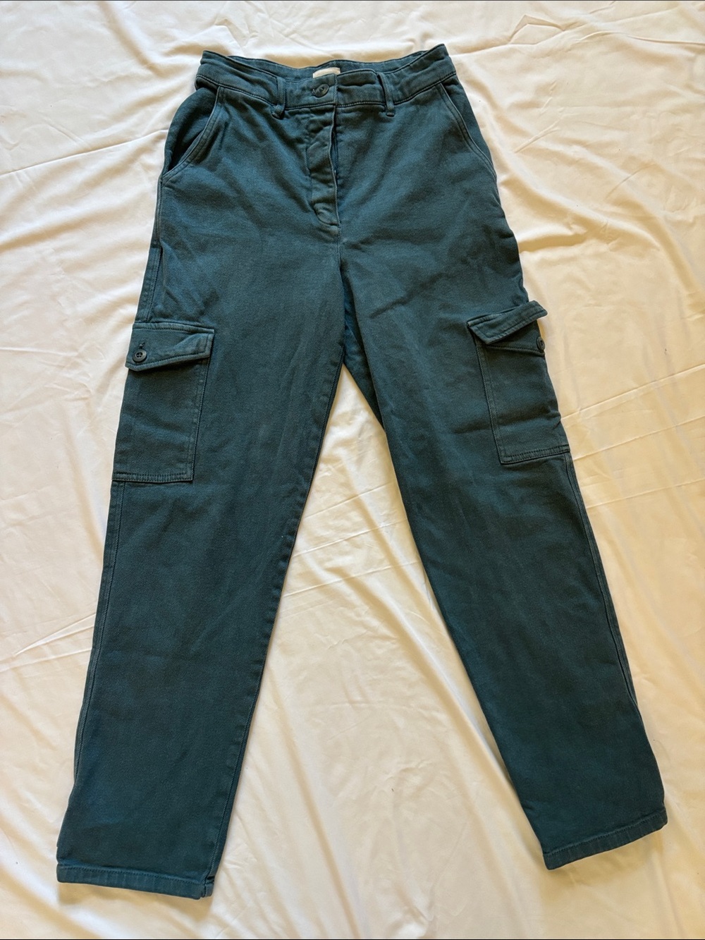 Aritzia Wilfred Free Modern Cargo Pants in Dark Teal!
